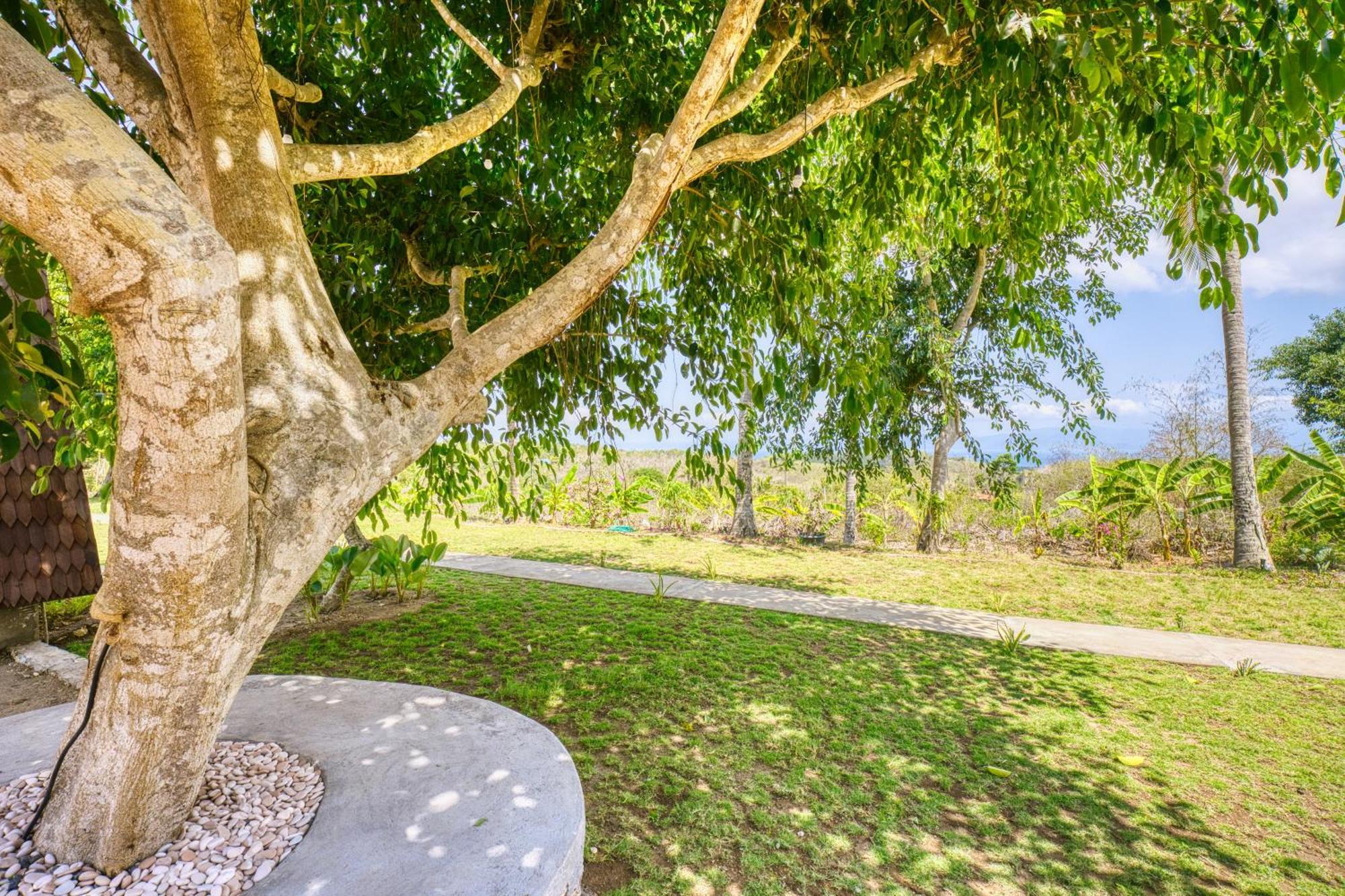 Nature Hill Penida Toyapakeh ภายนอก รูปภาพ